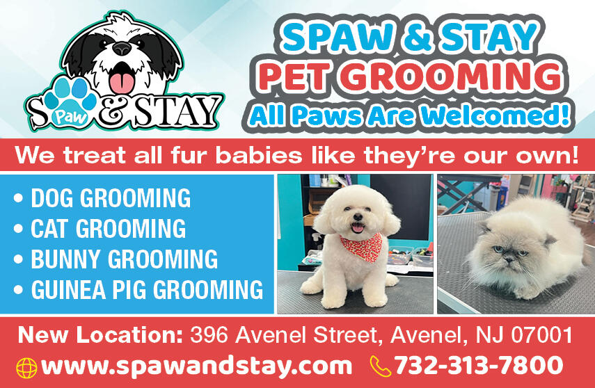 All Paws Are Welcomed